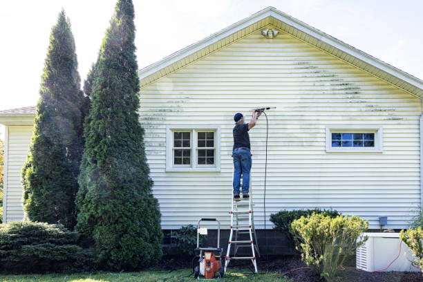 Local Pressure Washing Services in Crimora, VA